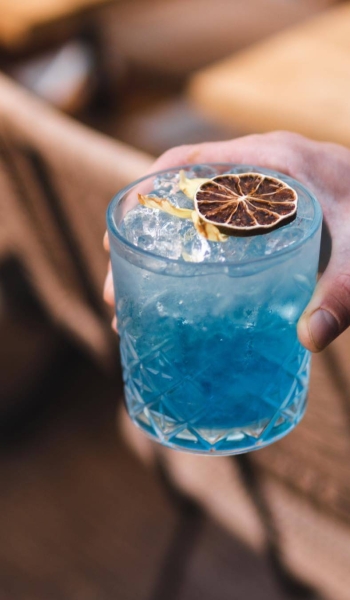 Le bar - Sausalito - Restaurant Nice - Restaurant Tapas Nice